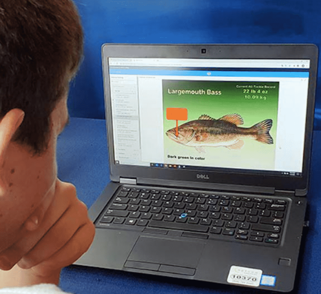 Chilean sea bass Chilean sea bass