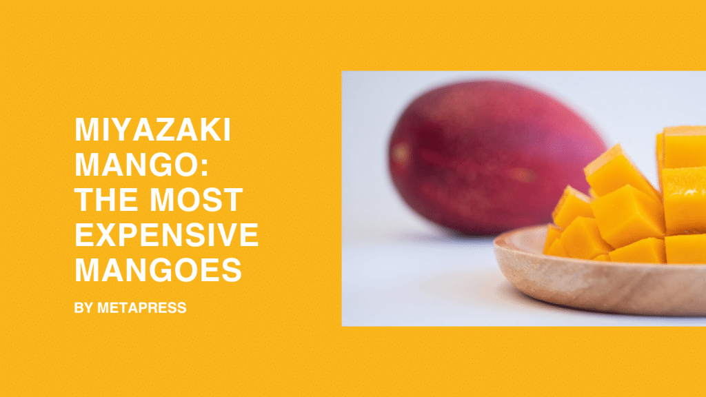 Miyazaki Mango: The Most Expensive Mangoes Miyazaki Mango