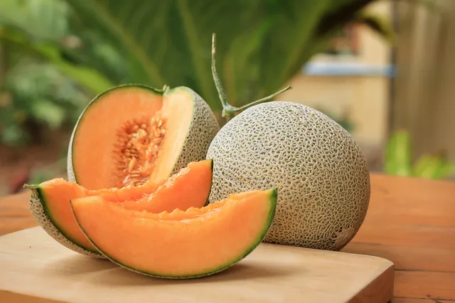 Yubari King Melon From Japan Expensive Fruit Market